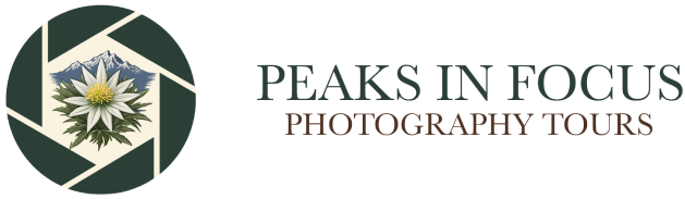 Peaks in Focus